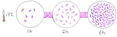 Datei:Hygiene:6.png